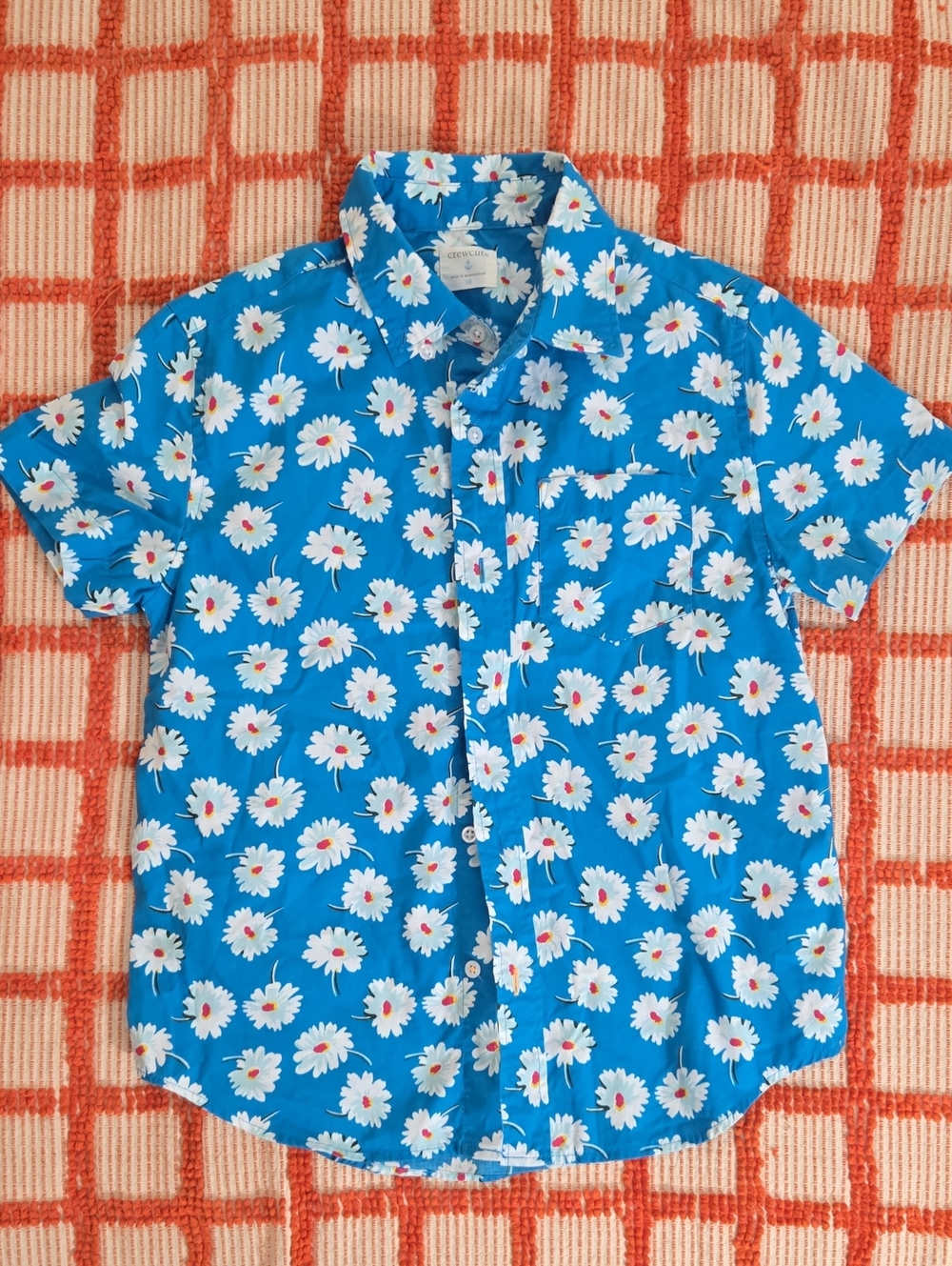 Crewcut Shortsleeve Button Down Shirt Size 10